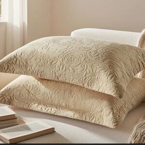 Embroidered Luxury Pillow Case Set of 2, beige color